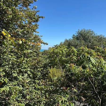 Lazur First Line Appartement *